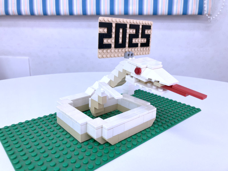 2025年巳年